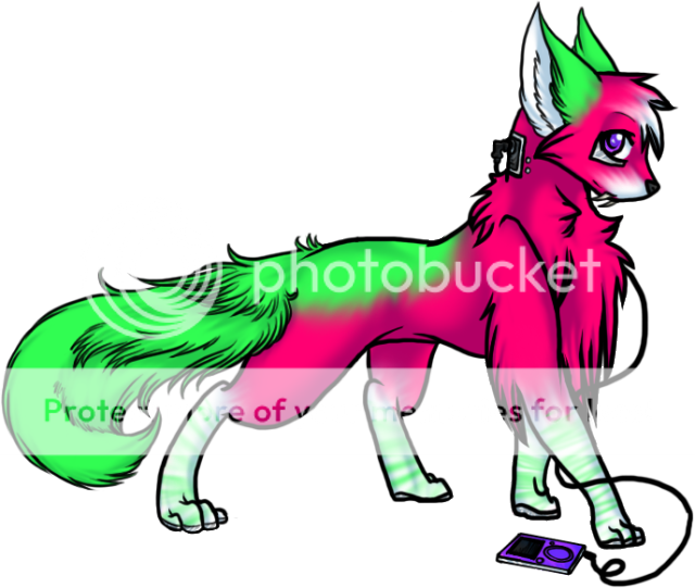 User Image